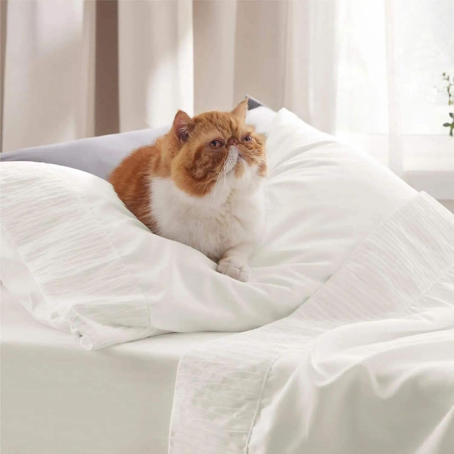 Ruched Sheet Set-1