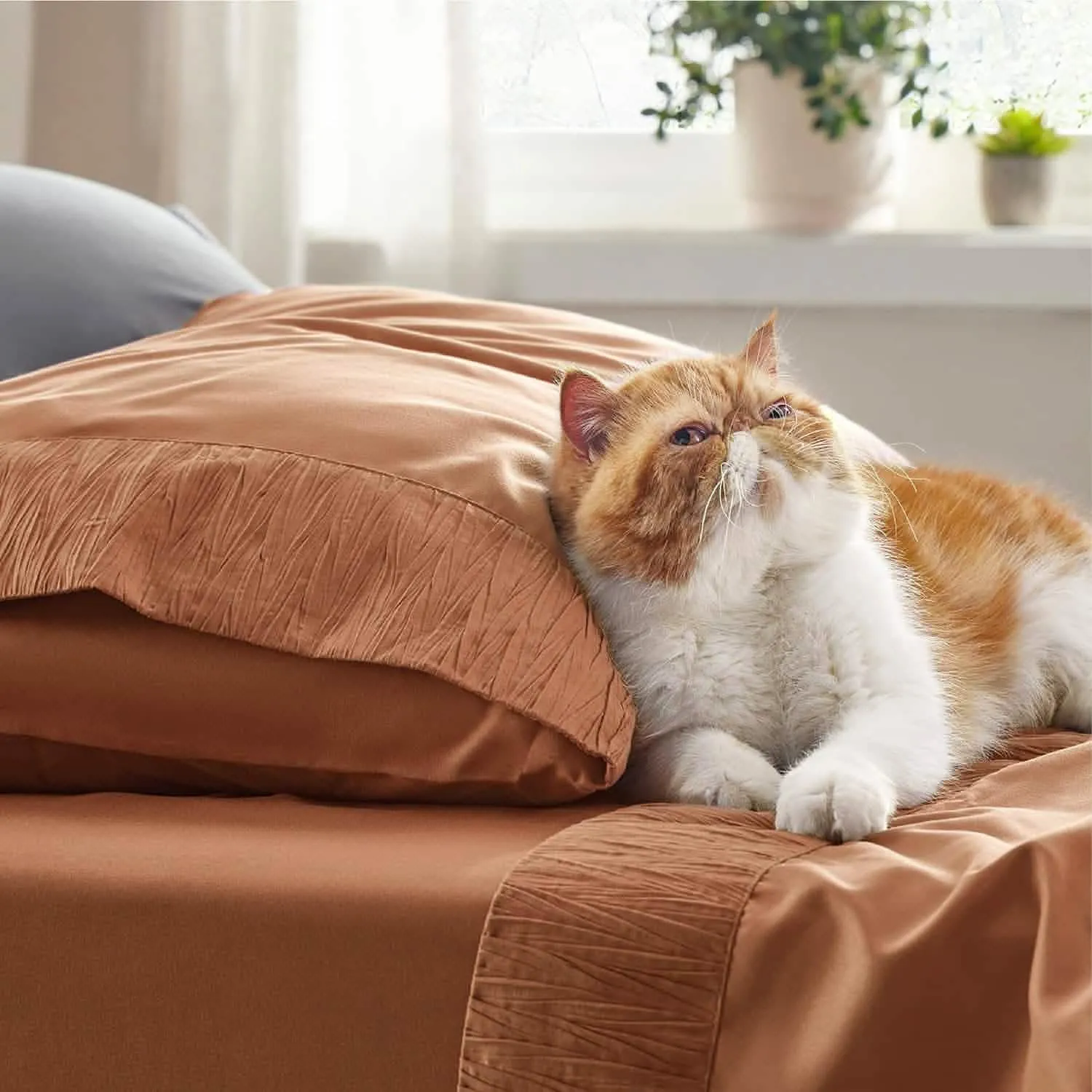 Ruched Sheet Set-1
